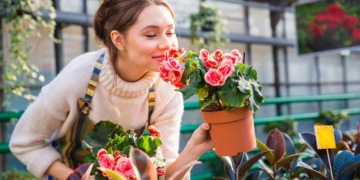 Why Flowers Make the Best Gift (Backed by Science & Emotion)