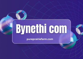 Bynethi com: A Comprehensive Look at a Growing Digital Platform