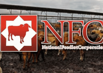 National Feedlot Corporation