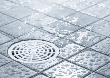 Sewage Backing Up Into Your Shower? Why This Is More Urgent Than a Burst Pipe