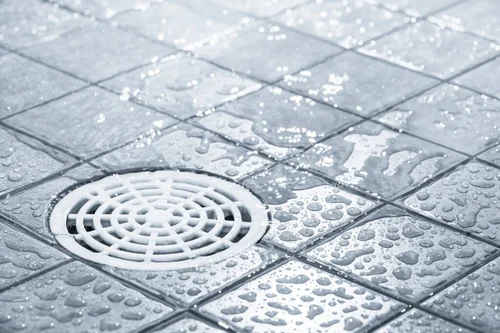 Sewage Backing Up Into Your Shower? Why This Is More Urgent Than a Burst Pipe